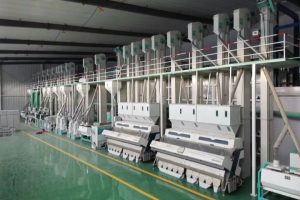 produk-Prima-Agro-Palmindo-43 produk-Prima-Agro-Palmindo-43